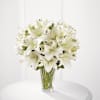 Spirited Grace Lily Online