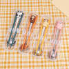 Buy Spoon And Chopsticks Set With Case - Assorted - Single Piece