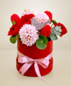 Spring box Online