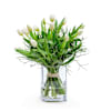 SPRING'S GREETINGS Online