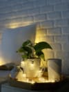 Gift String Light - LED Bulb Shaped - 2 Mtr - Warm White - Single Piece