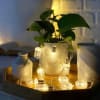 String Light - LED Bulb Shaped - 2 Mtr - Warm White - Single Piece Online