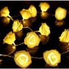 String Lights - Rose - Warm White - 2m Online