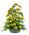 Summer gift Online