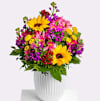 Sunny Greetings Online