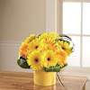 Sunny Surprise Arrangement Online