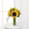 Sunshine Daydream Bouquet Online