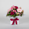 Sweet Pink Delight Online