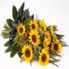 Sympathy SunFlowers Online