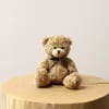 Teddy Bear Online