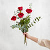 Tendresse - Tenderness Online