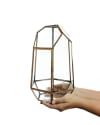 Buy Terrarium - Large - Glass And Brass - Single Piece