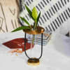 Gift Test Tube Planter - Bud Vase - Golden - Single Piece