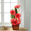 The FTD Instant Happiness Bouquet Online