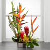 The FTD Island Breeze Arrangement Online