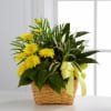 The FTD Loving Light Dishgarden Online