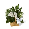 The FTD Peace And Serenity Dishgarden Online