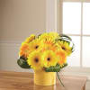 The FTD Sunny Surprise Arrangement Online