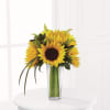 The FTD Sunshine Daydream Bouquet Online