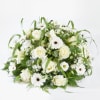 The last goodbye - Funeral arrangement Online