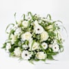 The last goodbye - Funeral arrangement Online