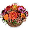 Touch of Indian Summer Online