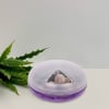 Travel Pill Box - Set Of 2 Online