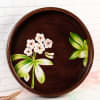 Shop Tray - Floral - Round - Single Piece