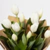 Gift Tulip Bouquet - White