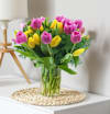 Tulips Multicolor 013 Online