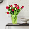 Tulips Red and White Online