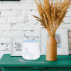 Unicorn Mug With Lid And Spoon - 250ml Online