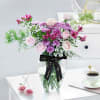 Vase of Serenity Online