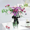 Vase of Serenity Online