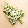 Voyage astral blanc Online