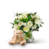 Welcome baby Online