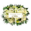 White Blooms Online