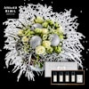 White Christmas bouquet Atelier Rebul TM Online