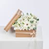 White floral dreaming Online