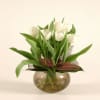 white tulips bouq Online