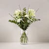 Winter Amaryllis Dream Online