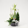 Winter Amaryllis Ornament Online