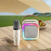 Gift Wireless Karaoke Speaker And Mic - Assorted - Single Piece