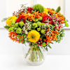 Wonderful Autumn Online