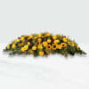 Yellow Coffin Spray Online