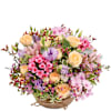 Zeste tendre - Pastel bloom Online