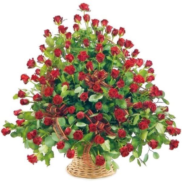 100 roses in a basket