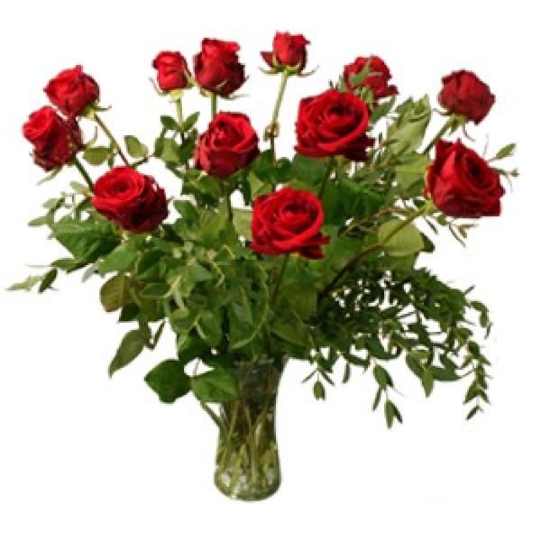 12 red roses