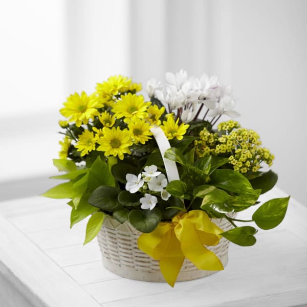 A Bit of Sunshine Basket by FTD