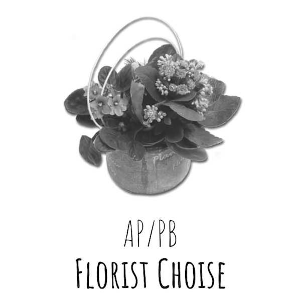 Arrangement of Plants - Florist’s Choice